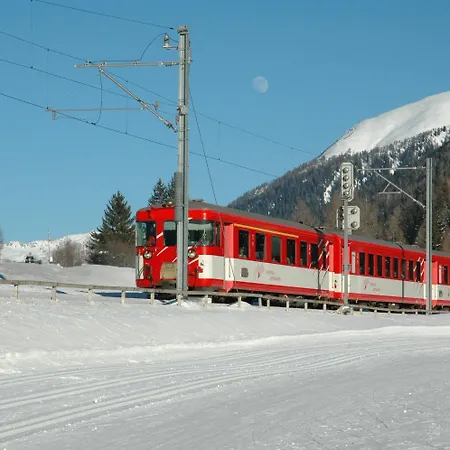 Hotel-restaurant Drei Tannen Bellwald