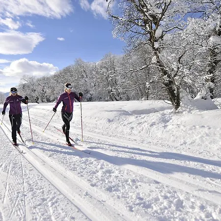 Szálloda Hotel-restaurant Drei Tannen