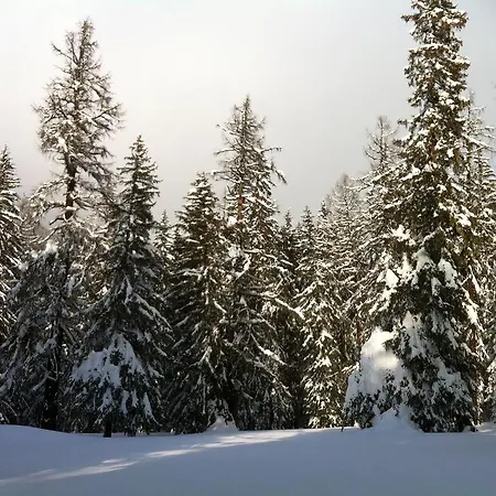 Szálloda Hotel-restaurant Drei Tannen 2*