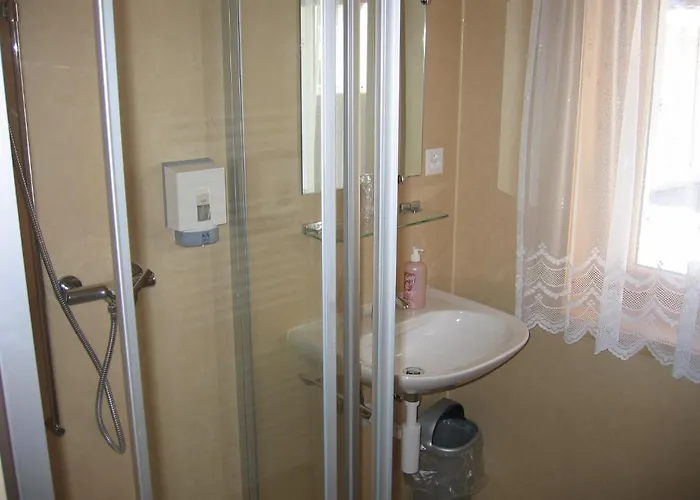 Hotel Hotel-restaurant Drei Tannen Bellwald