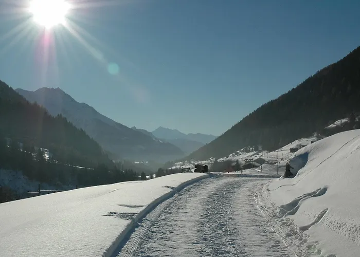 Hotel-restaurant Drei Tannen Hotel Bellwald