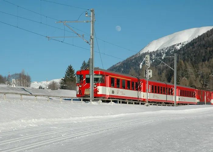 Hotel-restaurant Drei Tannen Bellwald