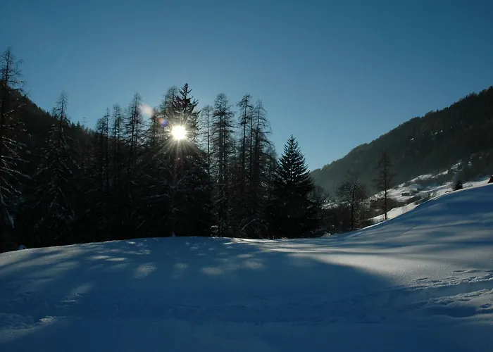 Hotel Hotel-restaurant Drei Tannen 2*