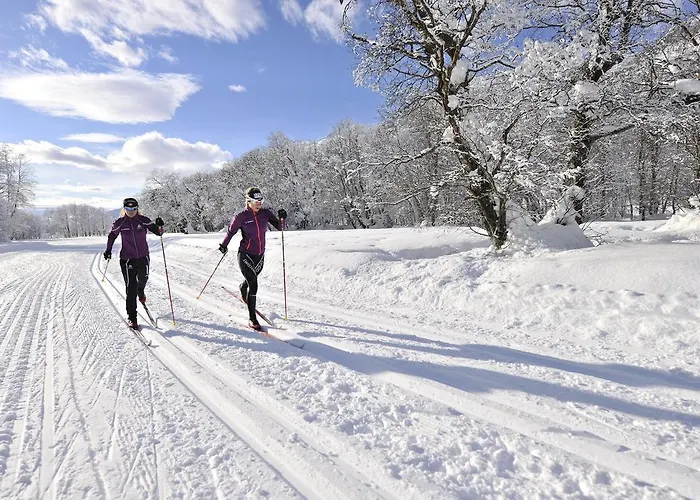 Hotel Hotel-restaurant Drei Tannen