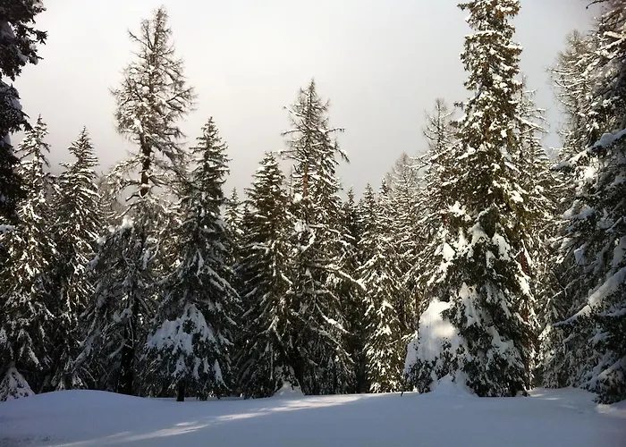 Hotel Hotel-restaurant Drei Tannen 2*