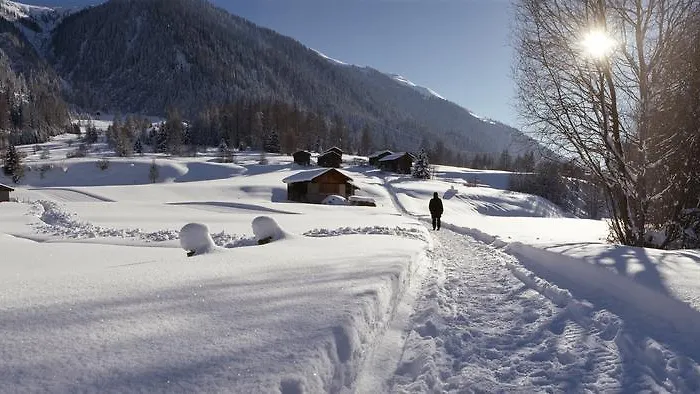 Hotel Hotel-restaurant Drei Tannen