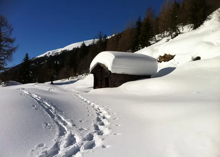 Hotel Hotel-restaurant Drei Tannen 2*