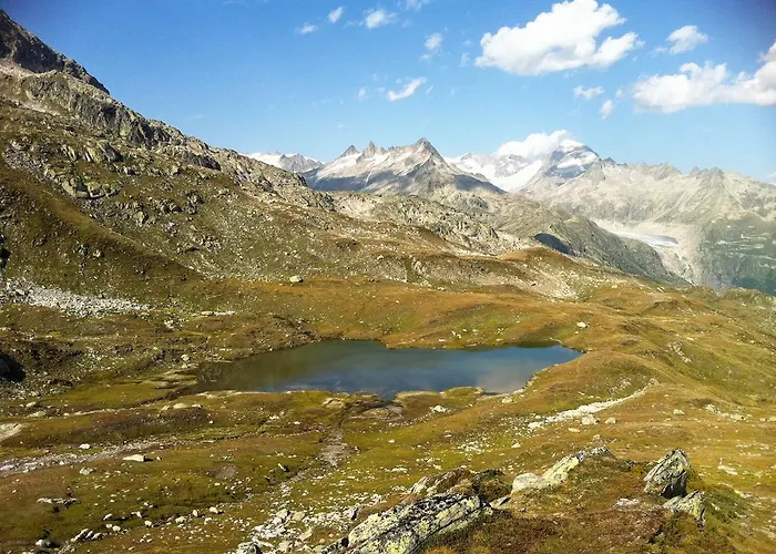 Hotel Hotel-restaurant Drei Tannen Bellwal