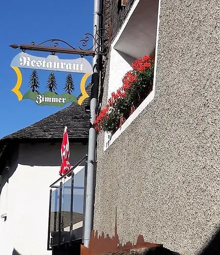 Hotel-restaurant Drei Tannen 2*