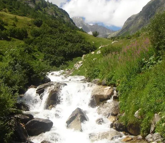 Hotel Hotel-restaurant Drei Tannen 2*