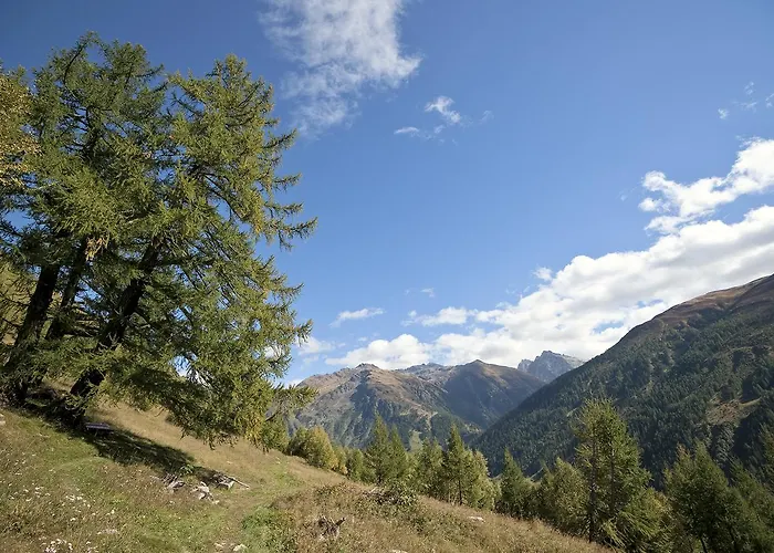 Hotel-restaurant Drei Tannen Bellwald