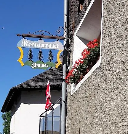 Hotel-restaurant Drei Tannen Bellwald